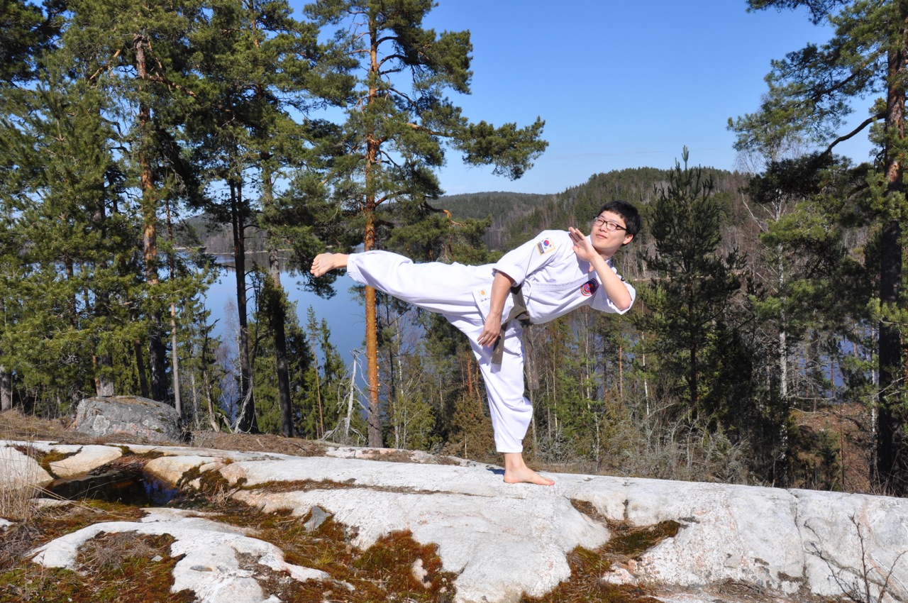 hapkido side kick