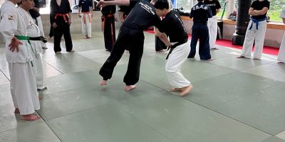 hankimuye chongmukwan seminar urk